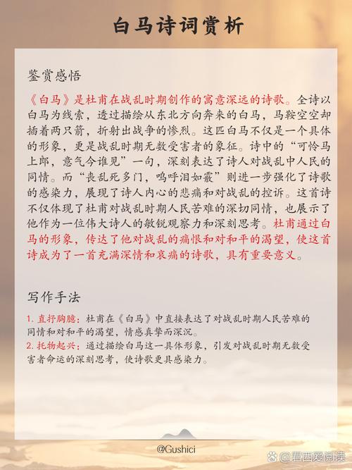 秦青的幸福生活在线阅读的相关介绍