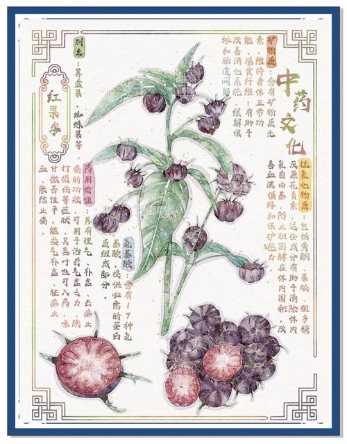 寄秋小说全集在线阅读的相关介绍