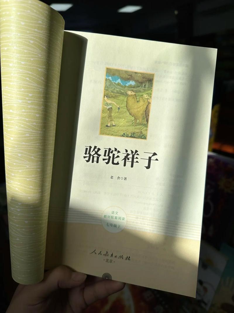 失乐园在线阅读的相关介绍