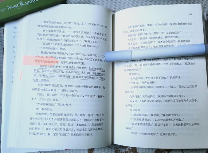 一只特立独行的猪在线阅读的相关介绍