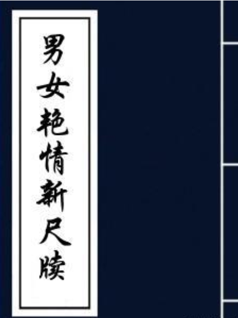 八点半的星光在线阅读的相关介绍