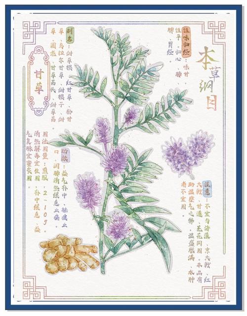 官神小说在线阅读的相关介绍