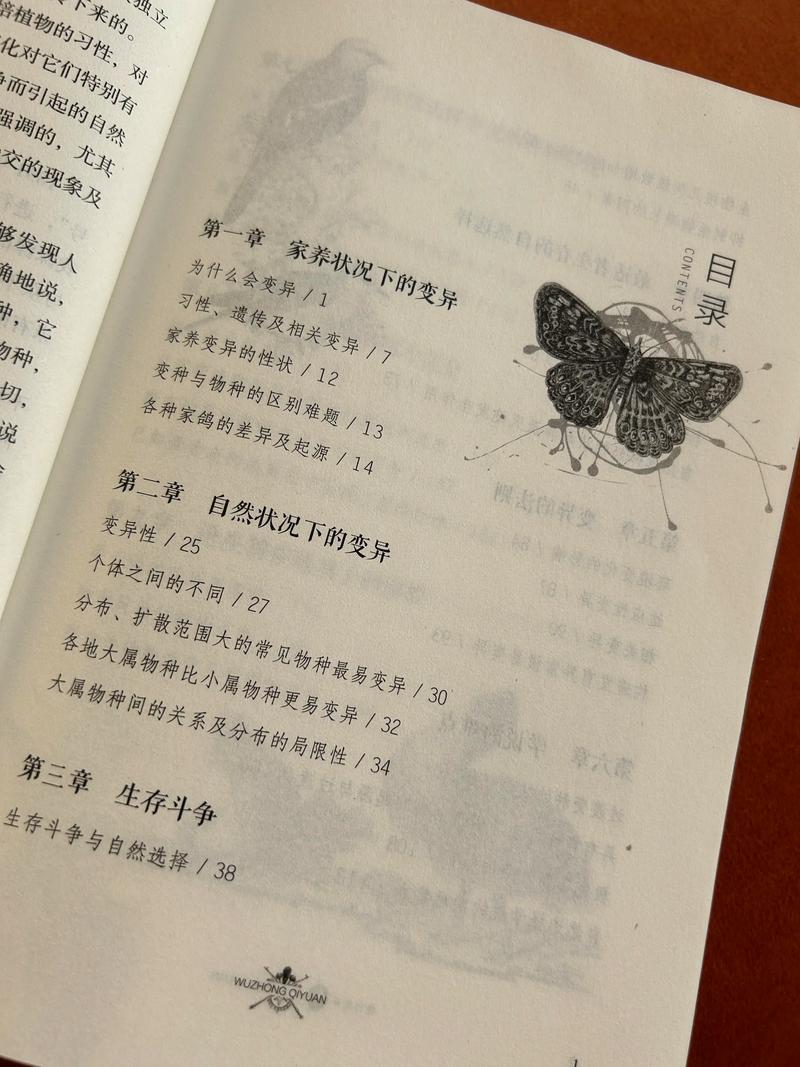 书虫在线阅读mp3的相关介绍