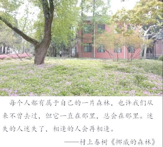 斗罗大陆小说在线阅读的相关介绍