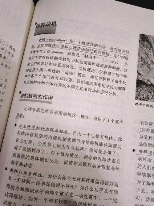 妙医圣手叶皓轩在线阅读5200的相关介绍