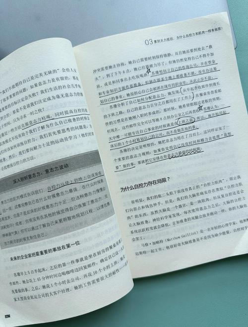 红楼梦在线阅读白话文的相关介绍