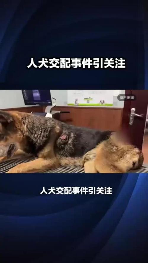 圣墟在线阅读全文免费阅读全文的相关介绍