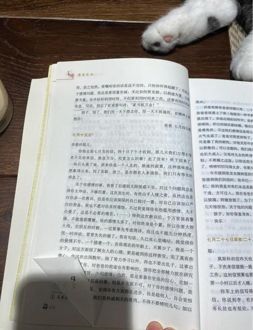黄色小说在线阅读的相关介绍